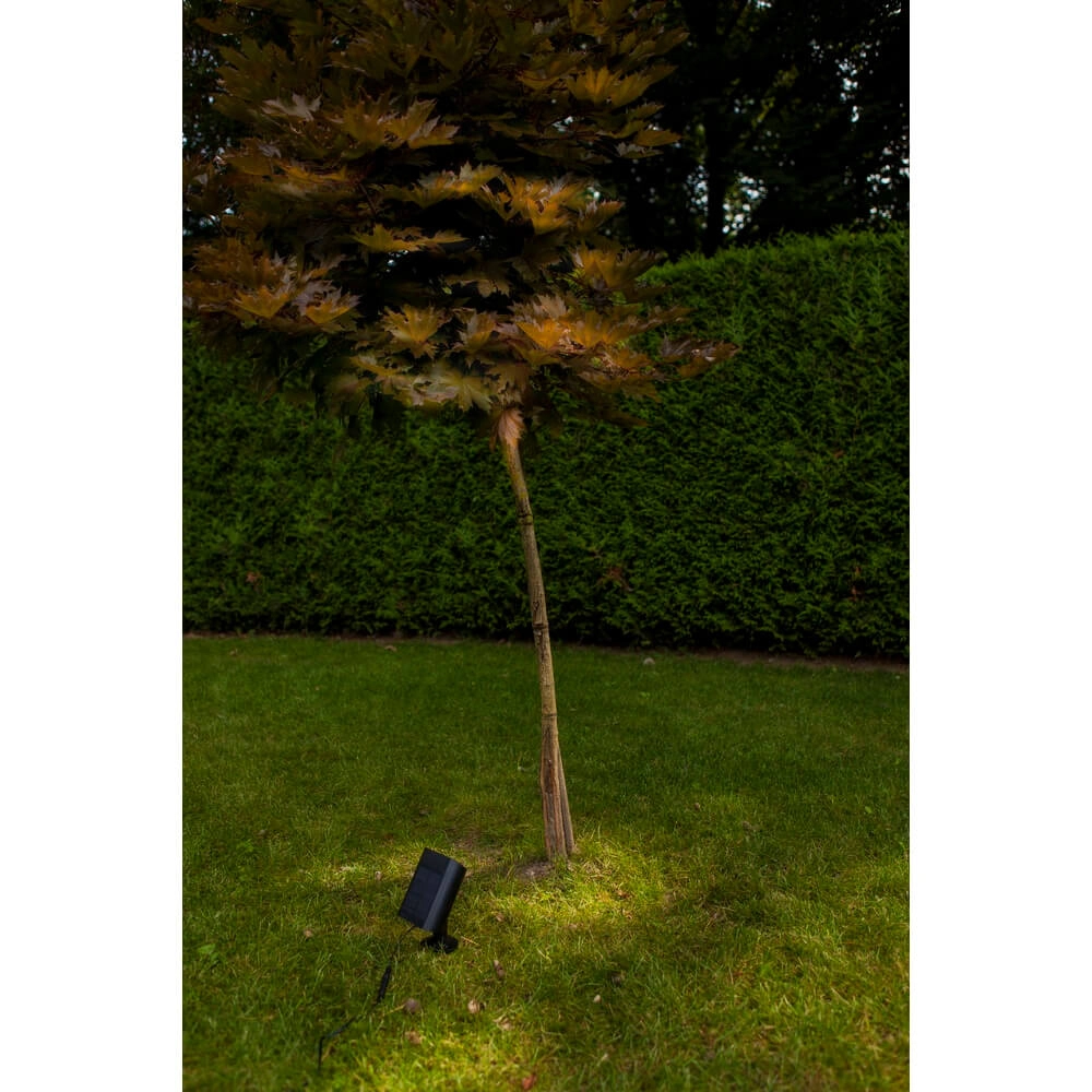 Solar prikspot Bingo met bewegingssensor Lutec 6939412089980