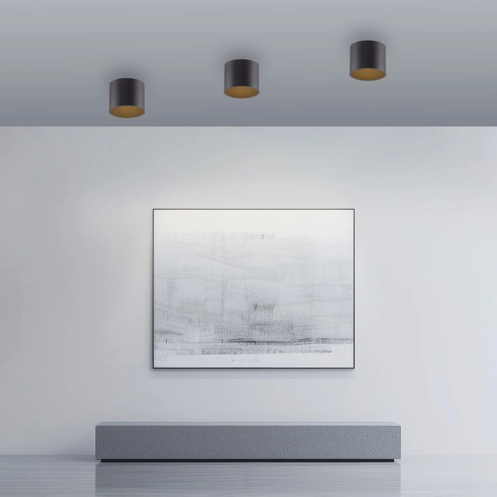 Plafond opbouwspot Pure Point Ø 11cm - black pearl Paul Neuhaus 4012248395646