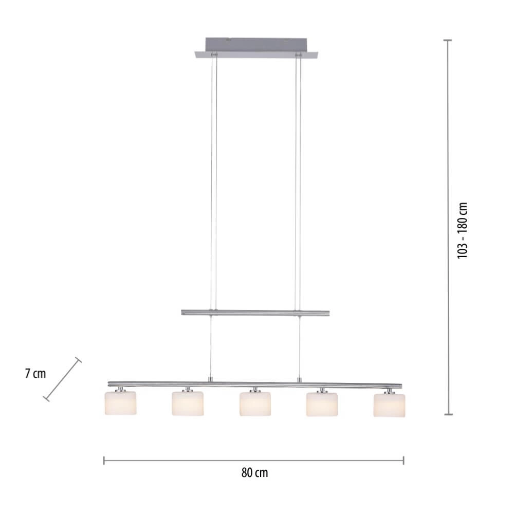 5-lichts hanglamp Hydra metaal Paul Neuhaus 4012248364963