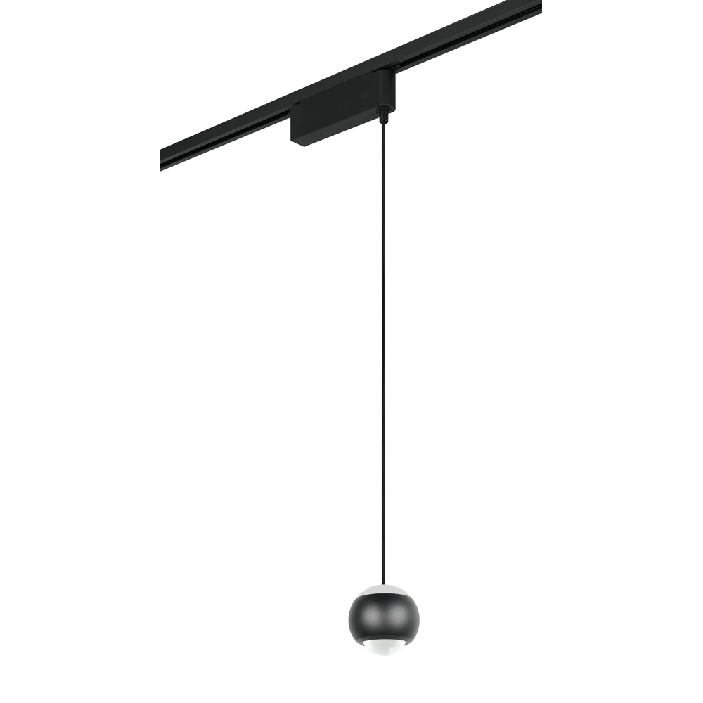 Hanglamp voor rail Hamlet zwart 2-fase Trio 4017807662948