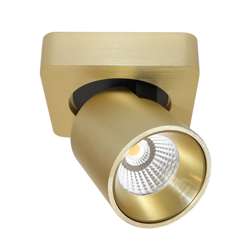 Led opbouwspot Laguna goud
