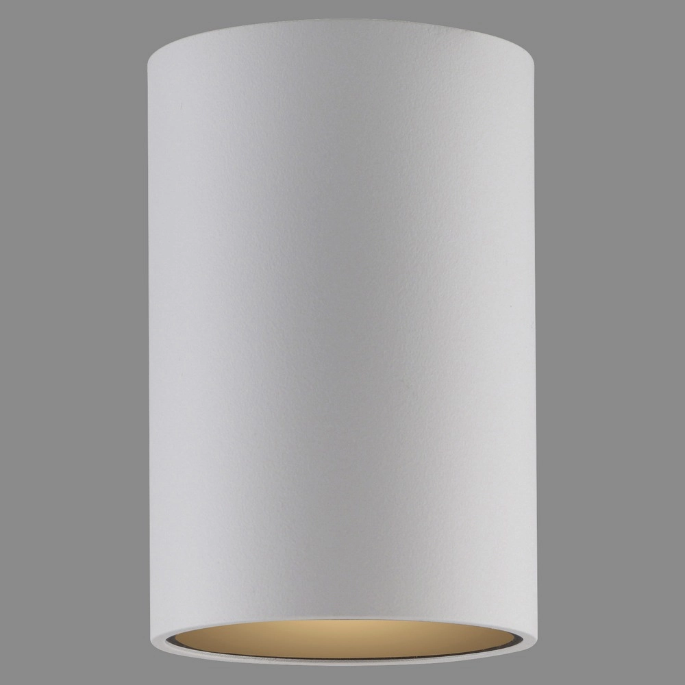 Plafond opbouwspot Pure Point Ø 6cm - wit