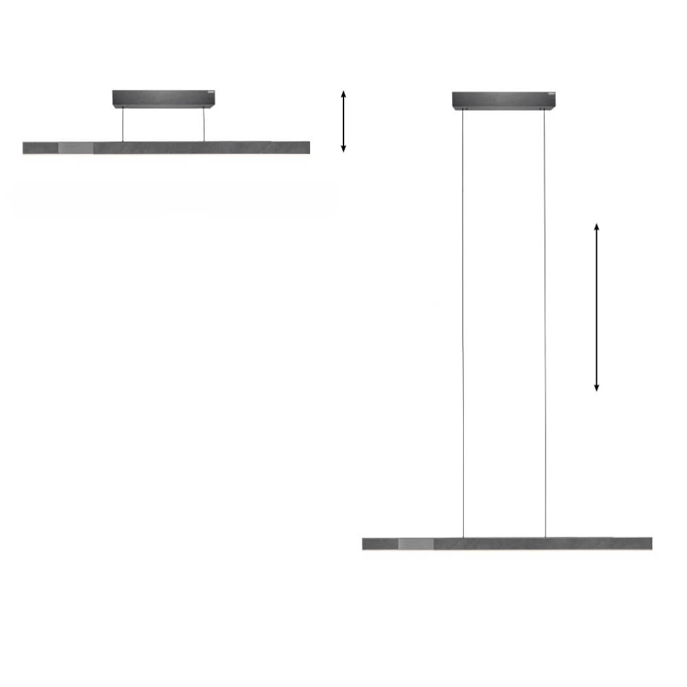 Pure Moto-Rise Paul Neuhaus 4012248386392