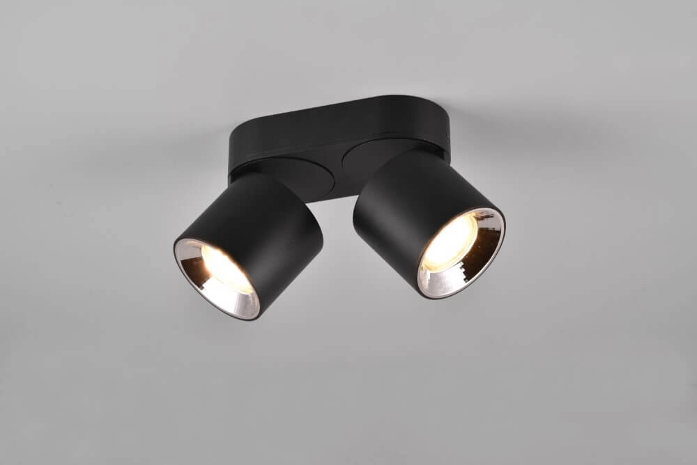 Plafondlamp Guayana 2-lichts zwart Trio 4017807573961