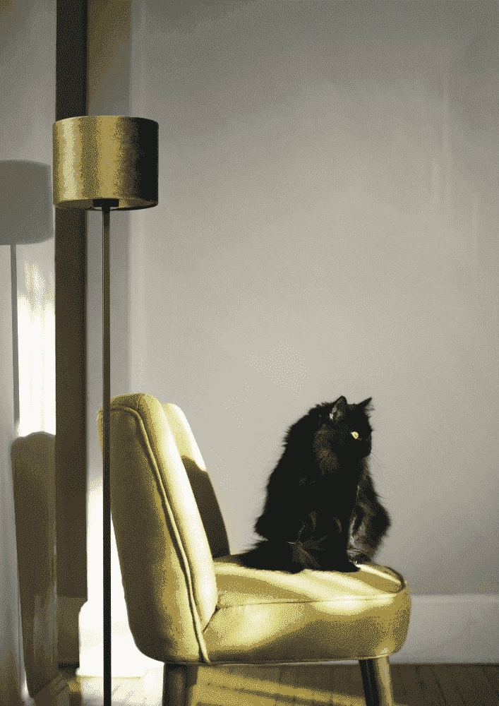 Zwarte vloerlamp Venus 150cm met olijfgroene lampenkap Masterlight 8718121204222