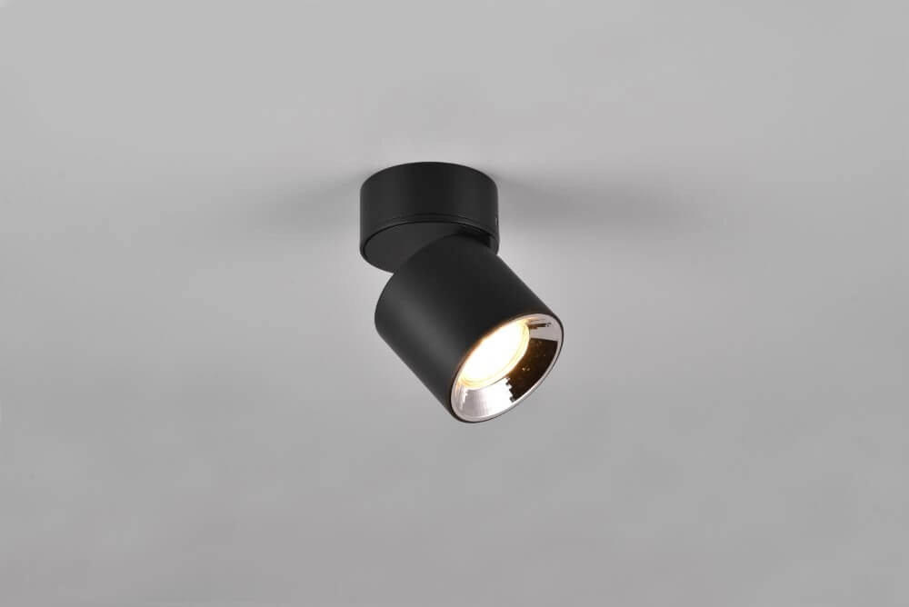 Plafondlamp Guayana zwart Trio 4017807573930