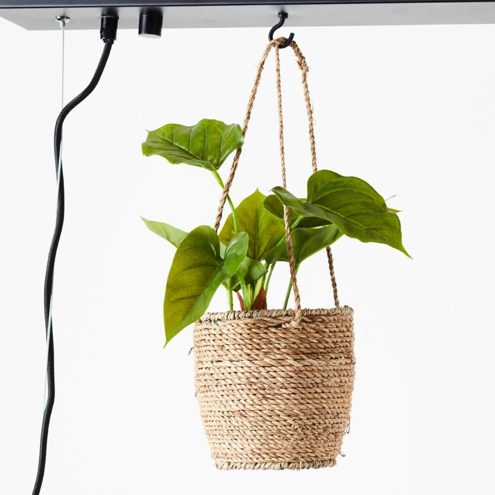 Hanglamp Bankwood 80cm Brilliant 4004353396588