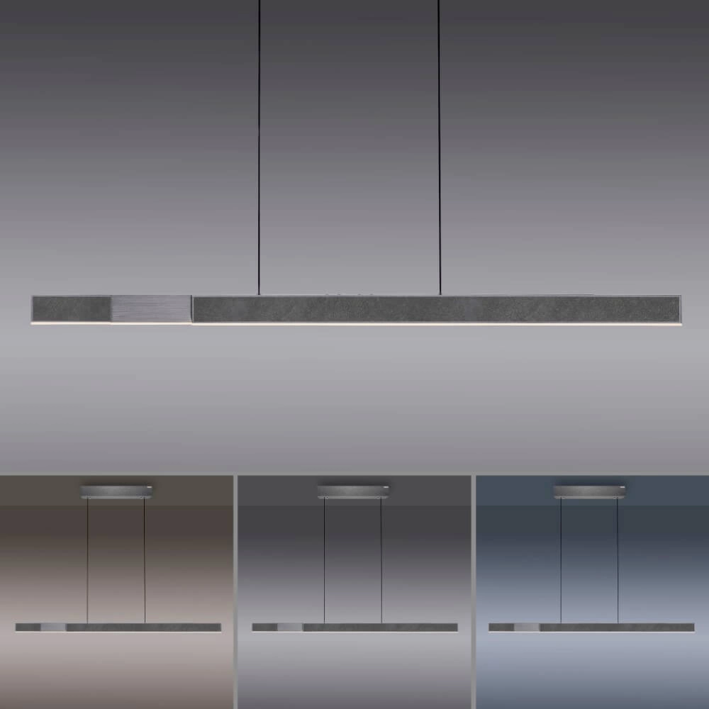 Pure Moto-Rise Paul Neuhaus 4012248386392