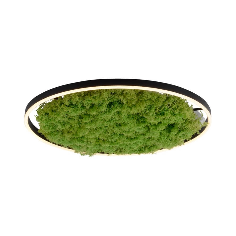 Plafondlamp Green Ritus met mos Ø 58,5cm Just Light 4043689994808