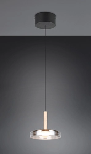 Led hanglamp Celeste Ø 22cm - smoke glas Trio 4017807616880