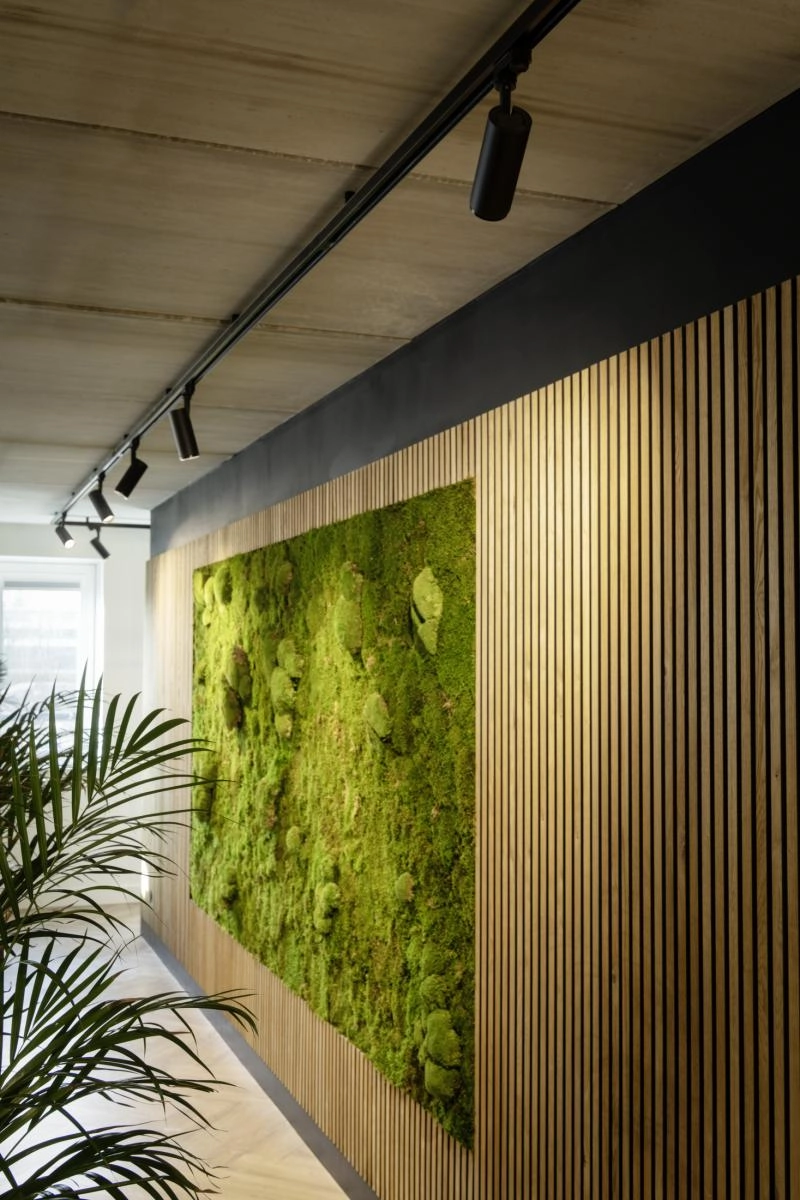 Railspot 3-fase Numinos M Dali zwart 3000K - 36gr SLV 4024163246170