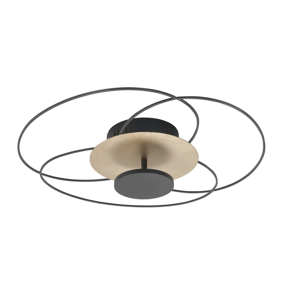 Plafondlamp Fiore zwart met goud