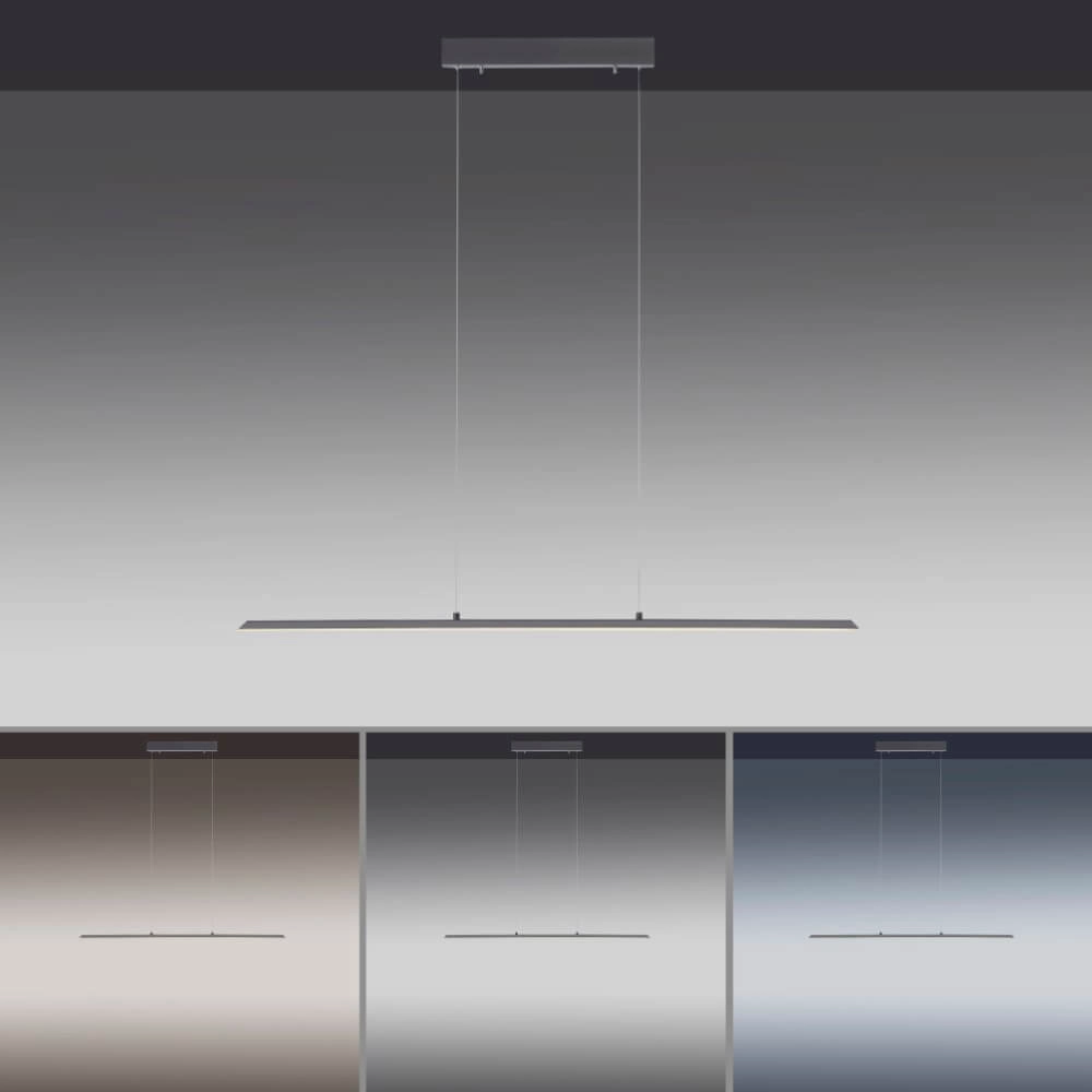 Design hanglamp Pure Lite 100cm antraciet Paul Neuhaus 4012248344873