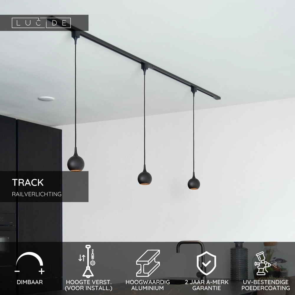 Rail hanglamp Track Favori 1-fase zwart Lucide 5411212093387