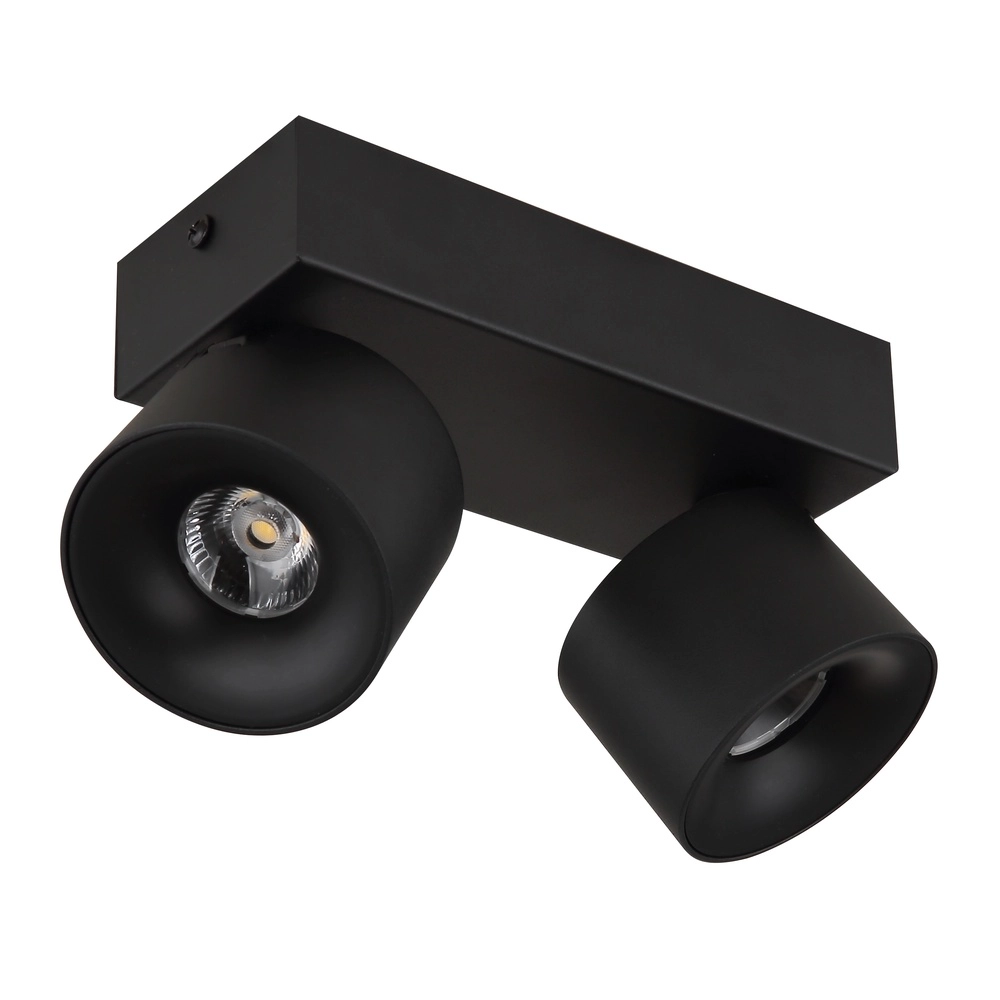 Strakke plafondlamp Rae 2-lichts zwart Globo 9007371447640