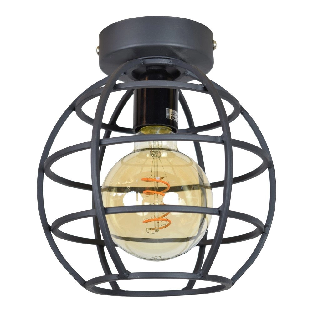 Plafondlamp Globe 19cm mat zwart