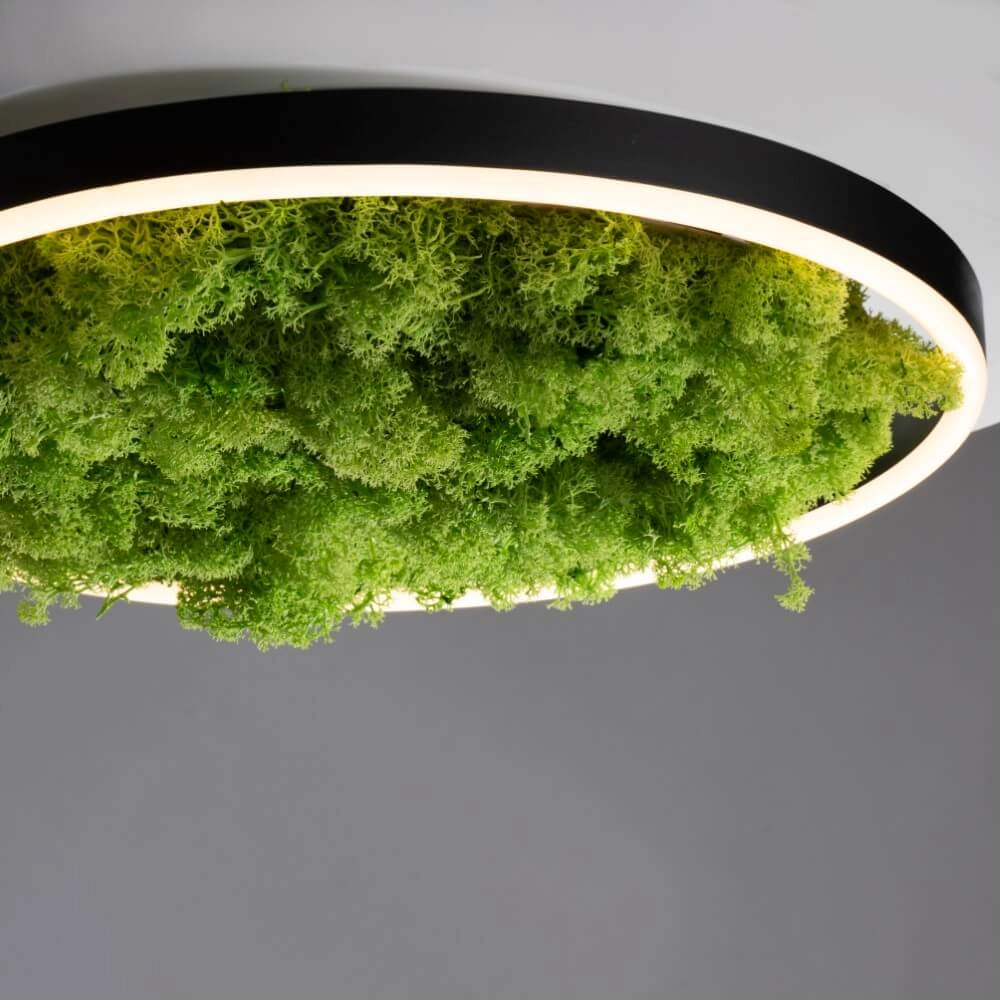 Plafondlamp Green Ritus met mos Ø 39,3cm Just Light 4043689994792