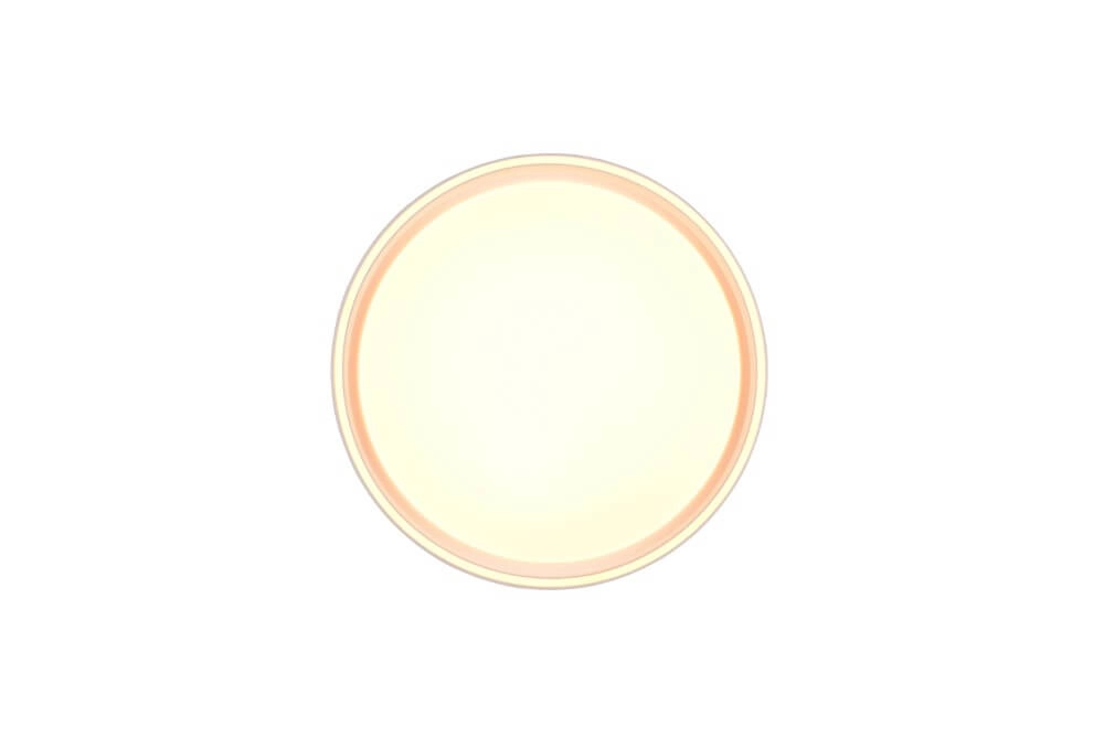 Plafondlamp Felis met afstandsbediening Trio 4017807588064