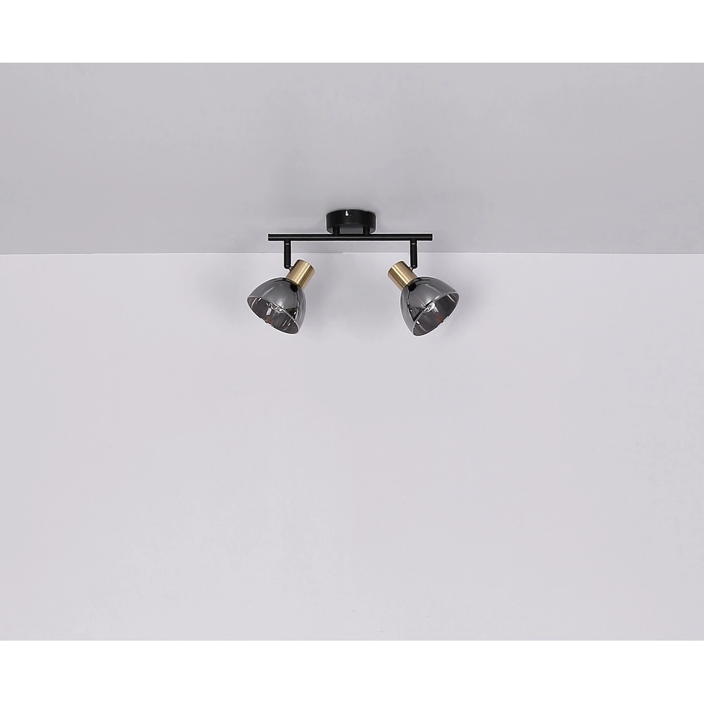 Design plafondlamp Jay 2-lichts zwart met smoke Globo 9007371396399