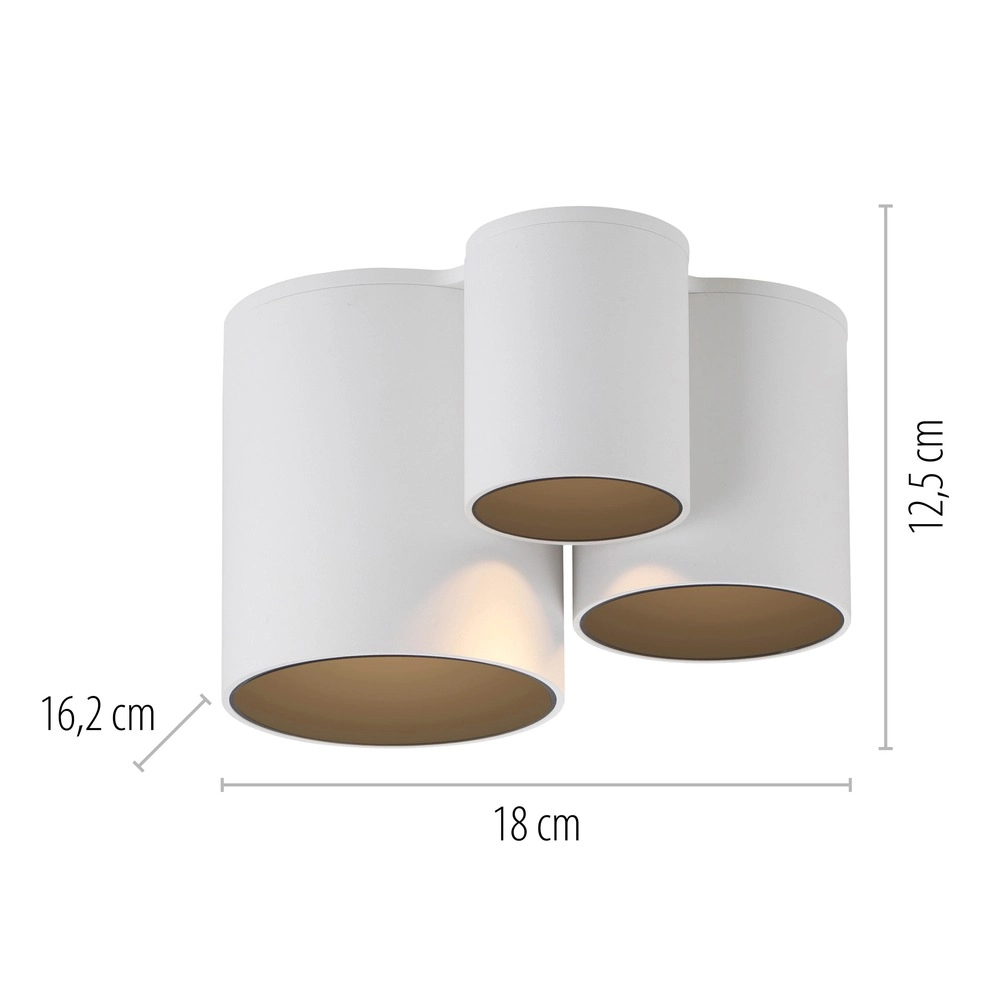 3L plafondlamp Pure Point wit Paul Neuhaus 4012248395707