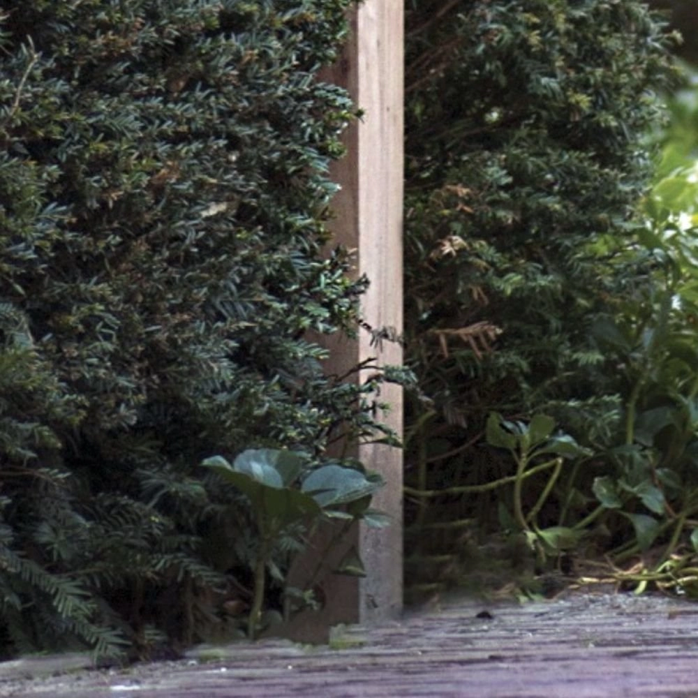 Buitenverlichting downlight Balume Pole op houten mast Authentage 8716803505070