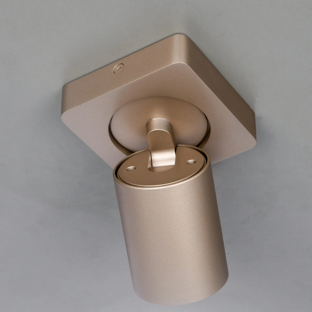 Opbouwspot Megano champagne Artdelight 8720701103467