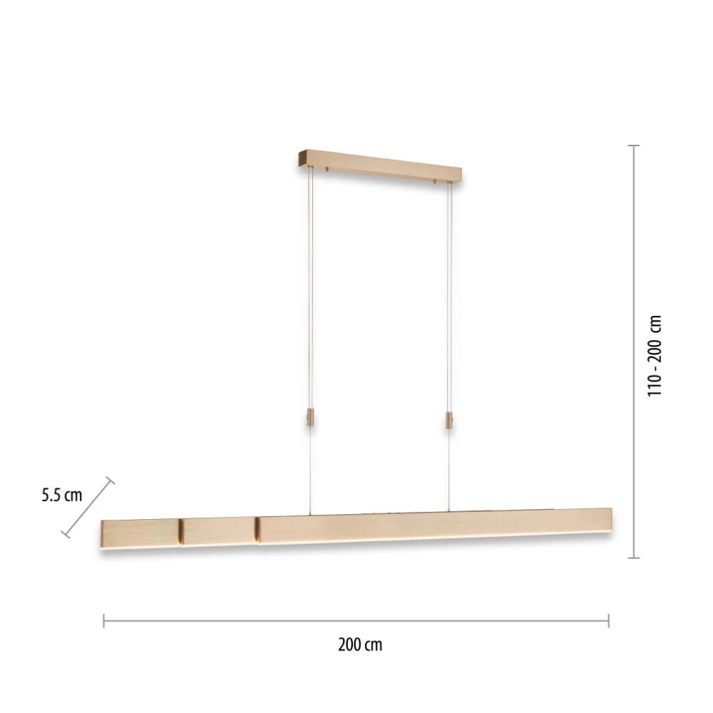 Led hanglamp Pure-Moto messing mat Paul Neuhaus 4012248363768