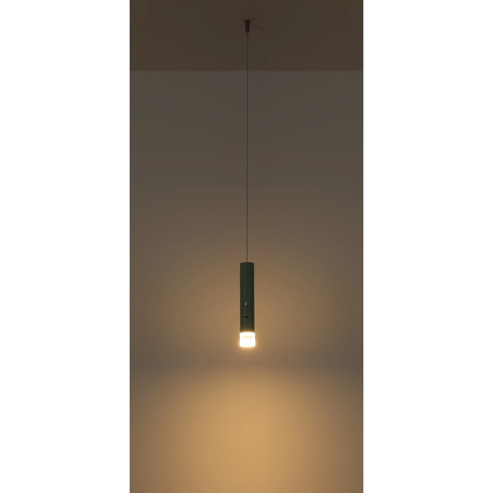 Strakke hanglamp Pelo groen Globo 9007371569359