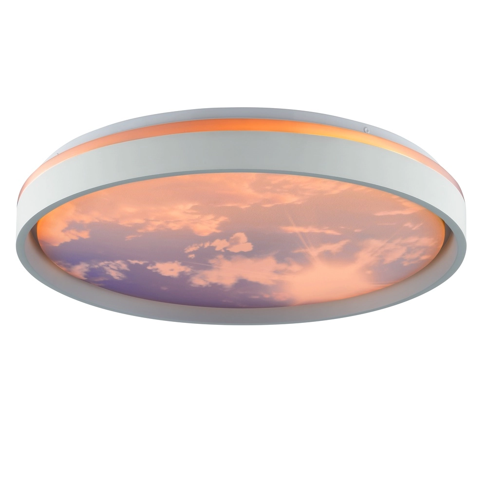 Plafonniere Sky-Dream wit met grijs Ø 48,5cm