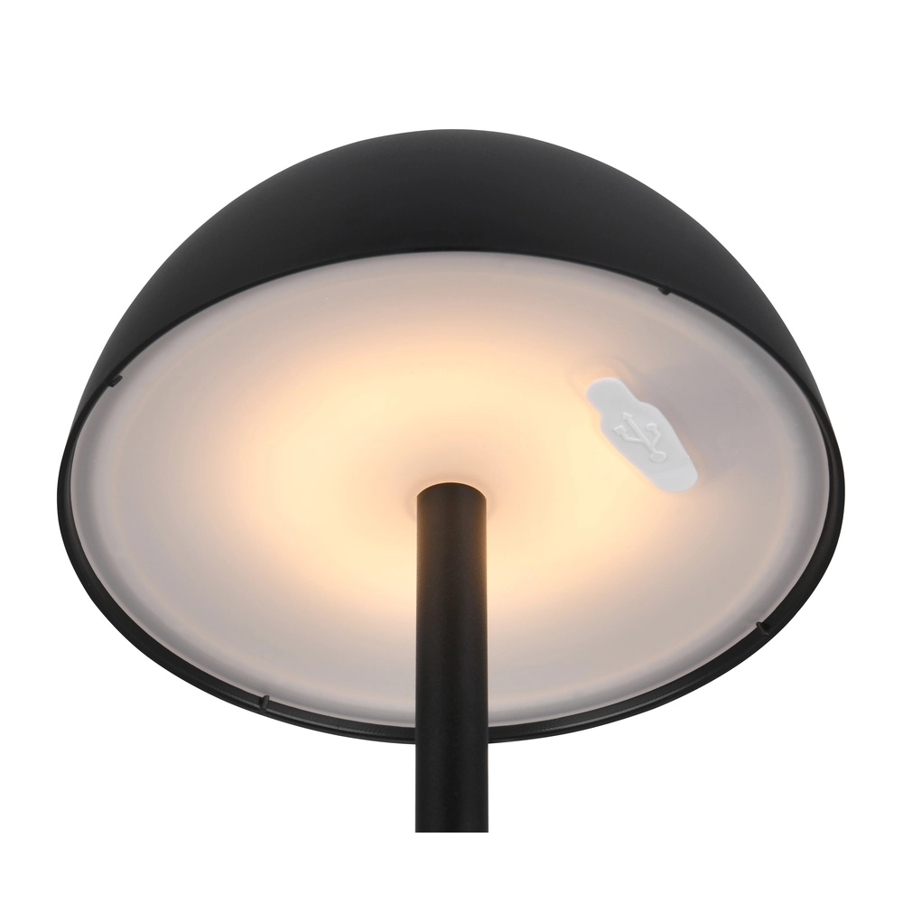 Tafellampje Ricardo zwart Ø 13,5cm Trio 4017807601794