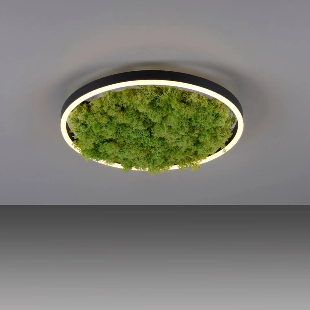 Plafondlamp Green Ritus met mos Ø 39,3cm Just Light 4043689994792
