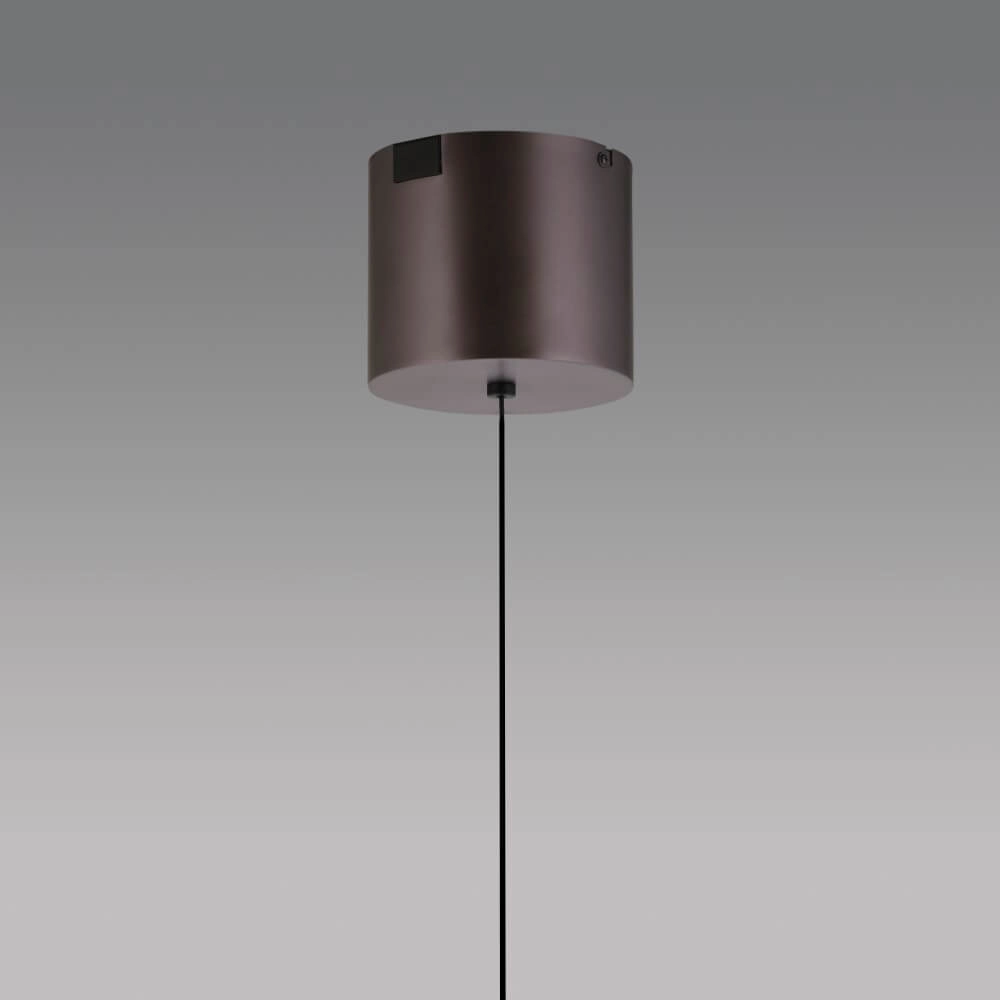 Hanglamp Q-Kon zilver Paul Neuhaus 4012248383865