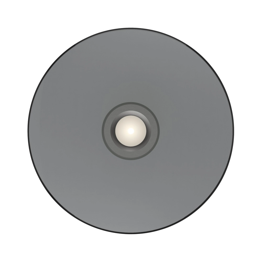 Plafondlamp Pure Moon Ø 50cm - platin met smoke glas Paul Neuhaus 4012248386347