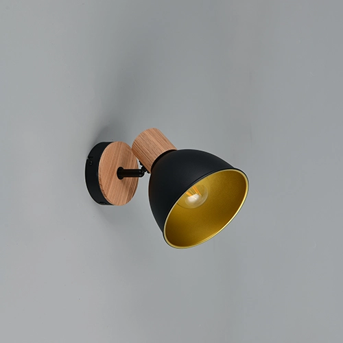 Plafondlamp Delume enkel zwart Trio 4017807672237