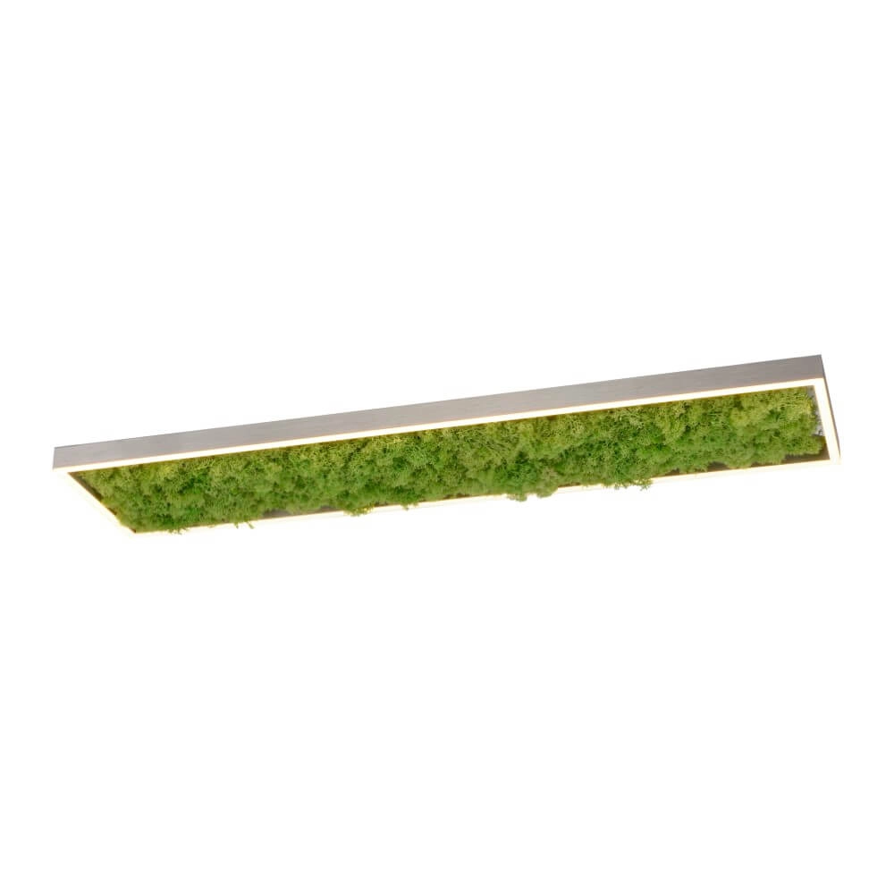 Rechthoekige plafondlamp Green Knut met mos Rechthoekige plafondlamp Green Knut met mos