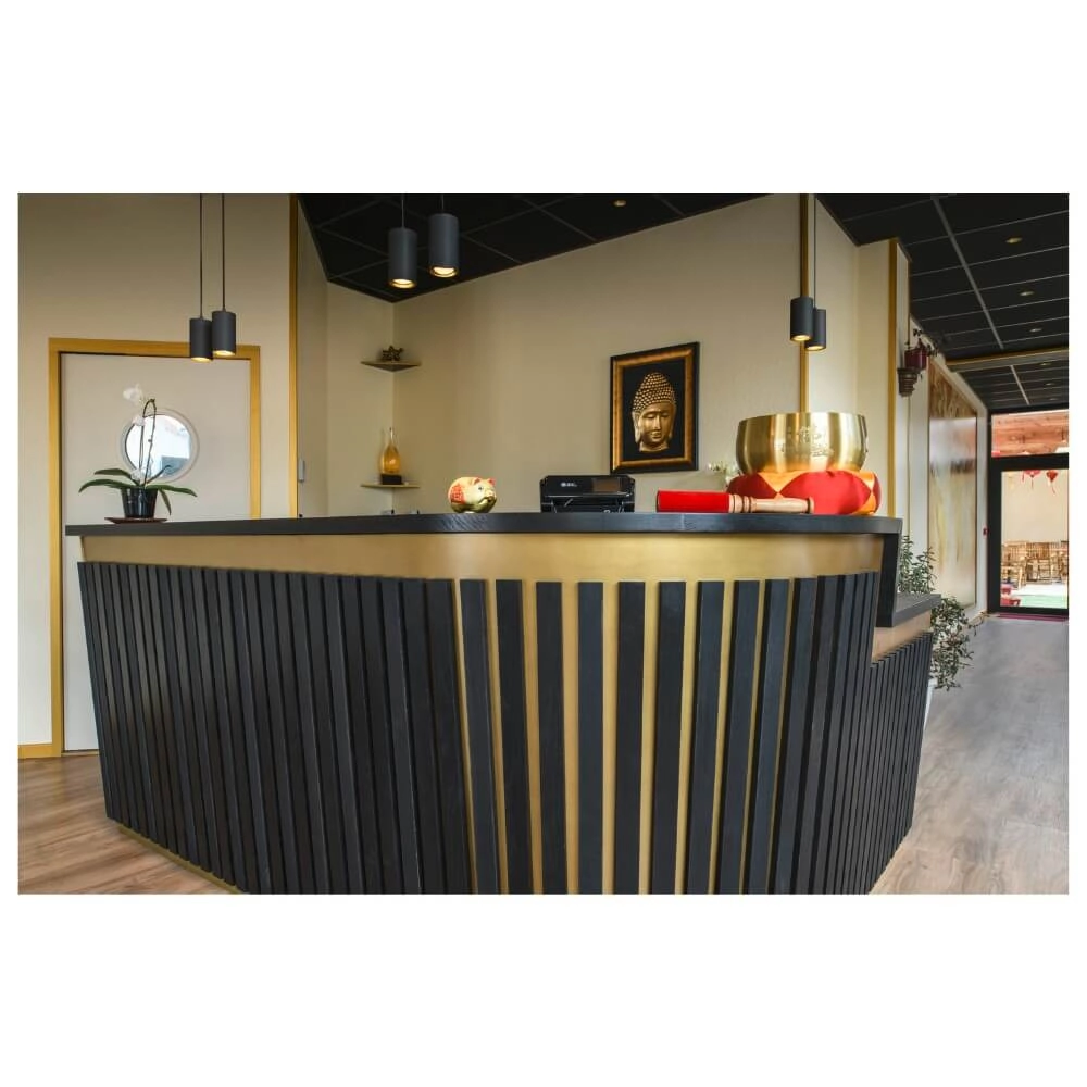 Pendel hanglamp Asto Tube zwart 2x GU10 SLV 4024163266079