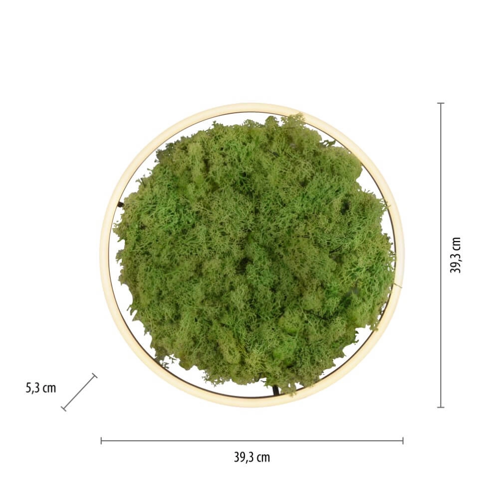 Plafondlamp Green Ritus met mos Ø 39,3cm Just Light 4043689994792