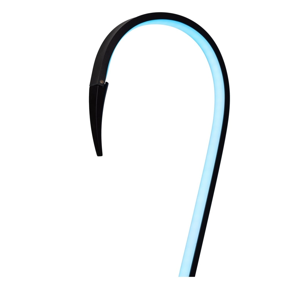 Vloerlamp Flamingo zwart Lucide 5411212051547