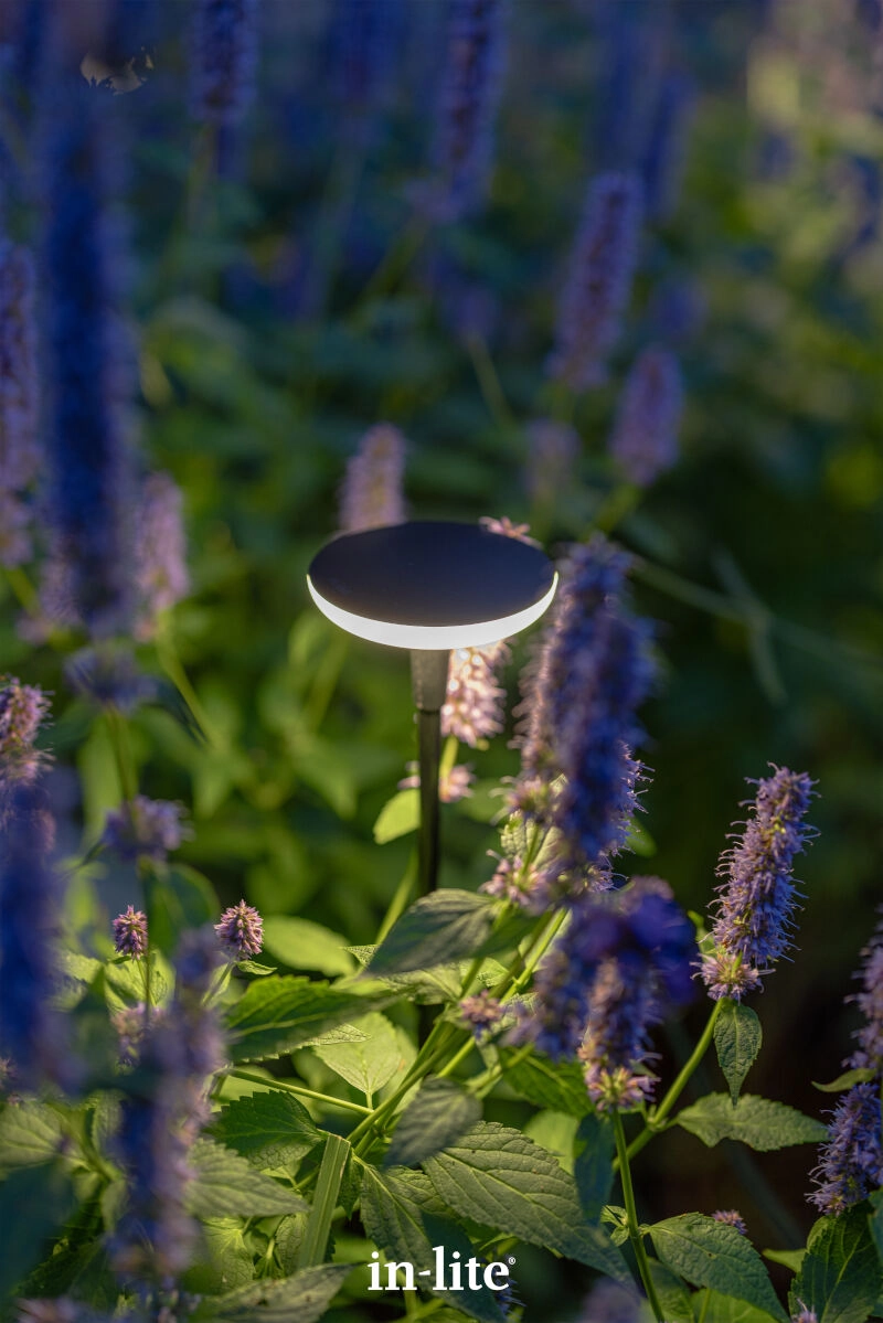 Sway Light Black In-lite 8717051004896