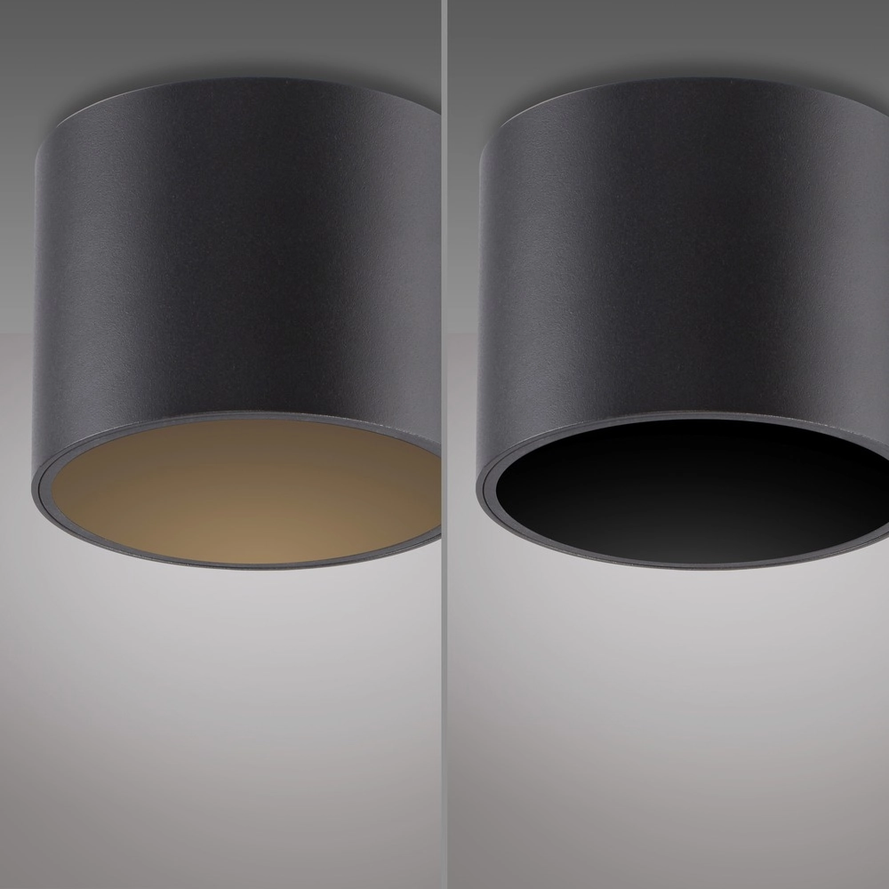 Plafond opbouwspot Pure Point Ø 11cm - black pearl Paul Neuhaus 4012248395646