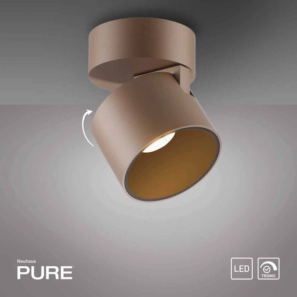 Strakke opbouwspot Pure Cup bronce Paul Neuhaus 4012248395592