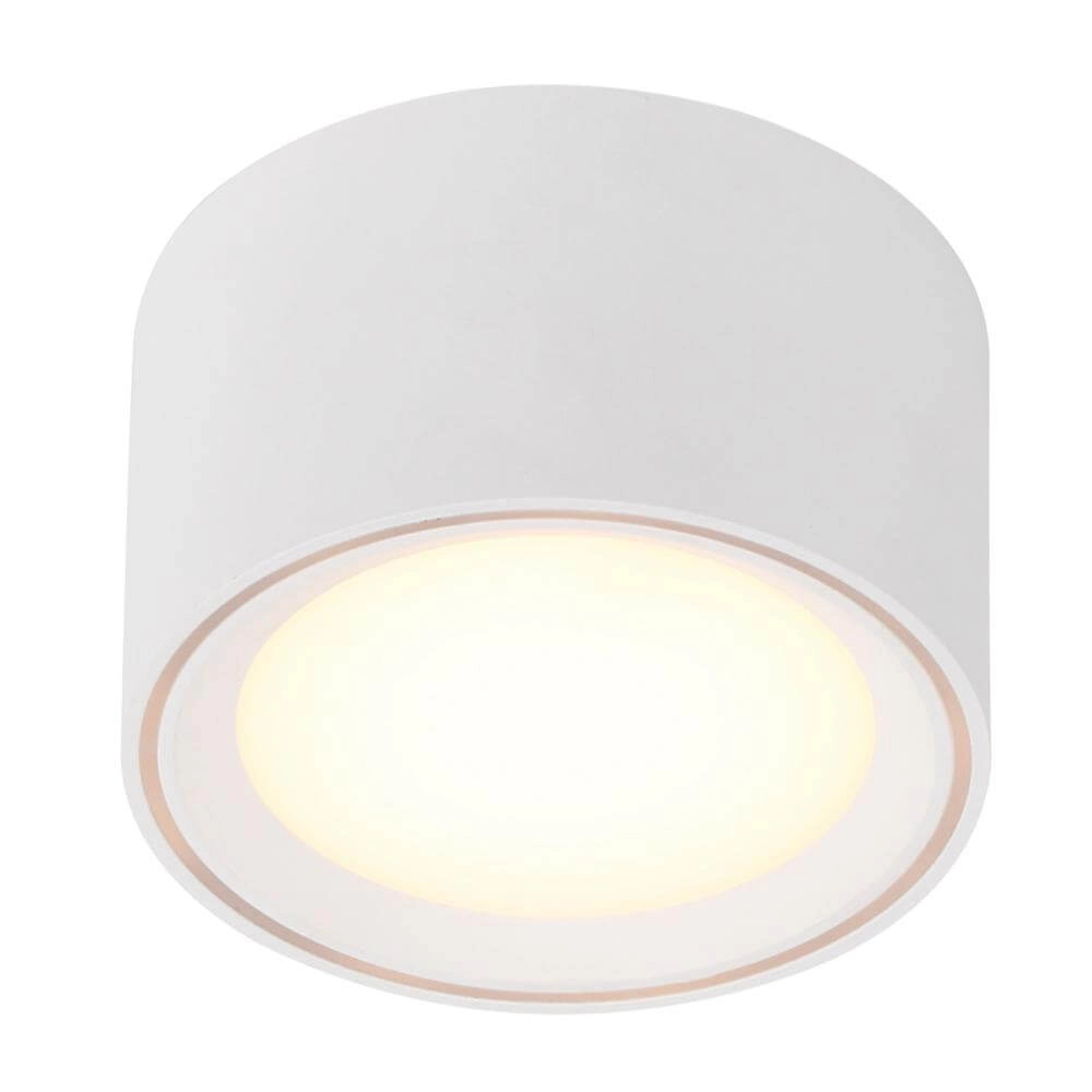 Witte spot Fallon 6cm x Ø 10cm Witte spot Fallon 6cm x Ø 10cm