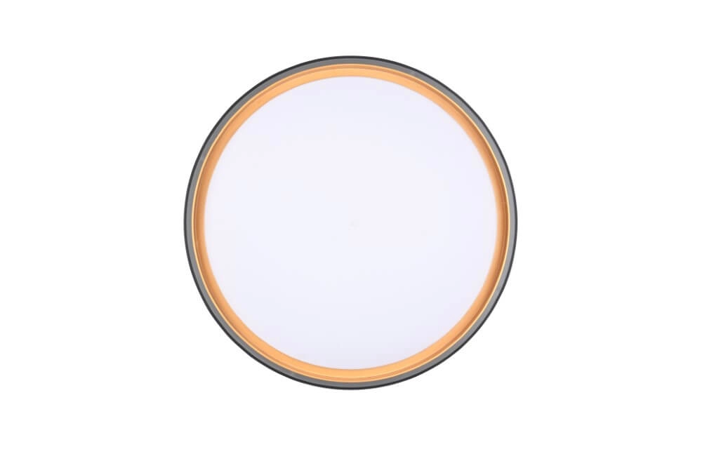 Plafonniere Felis zwart met goud Trio 4017807604030