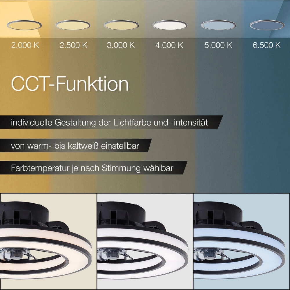 Zwarte plafondventilator Mondello met RGB lamp Brilliant 4004353453298