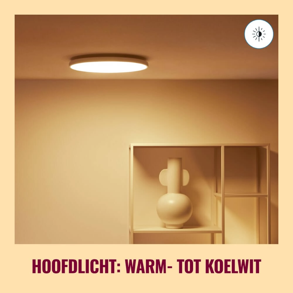 Slimme plafonnière Rune Ø 40cm - wit WiZ 8719514554276