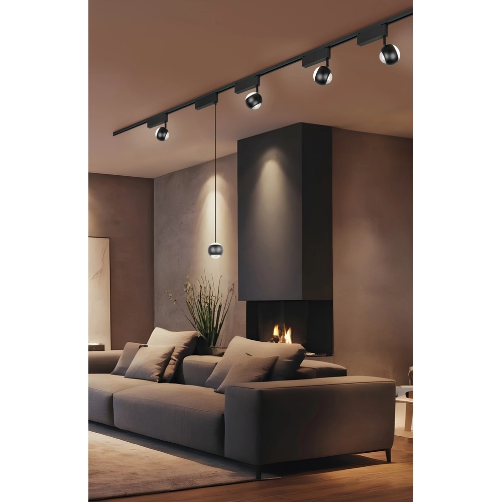 Hanglamp voor rail Hamlet zwart 2-fase Trio 4017807662948