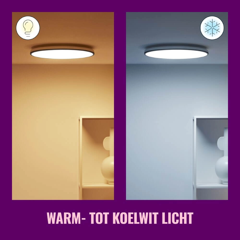 Slimme plafonnière Rune Ø 40cm - zwart WiZ 8719514554290