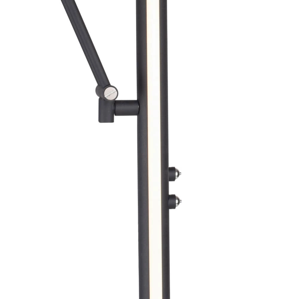 Vloerlamp Pure Mutil antraciet Paul Neuhaus 4012248364345