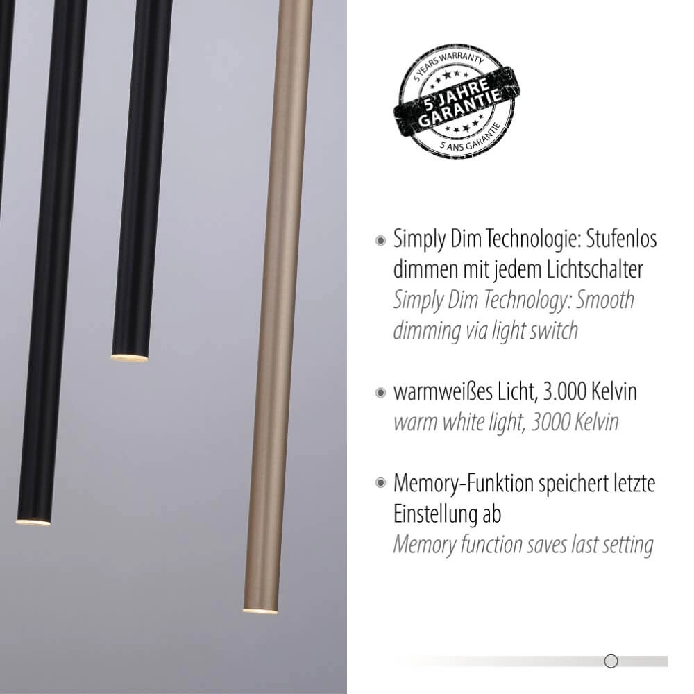 Unieke hanglamp Flute 10-lichts Paul Neuhaus 4012248374788