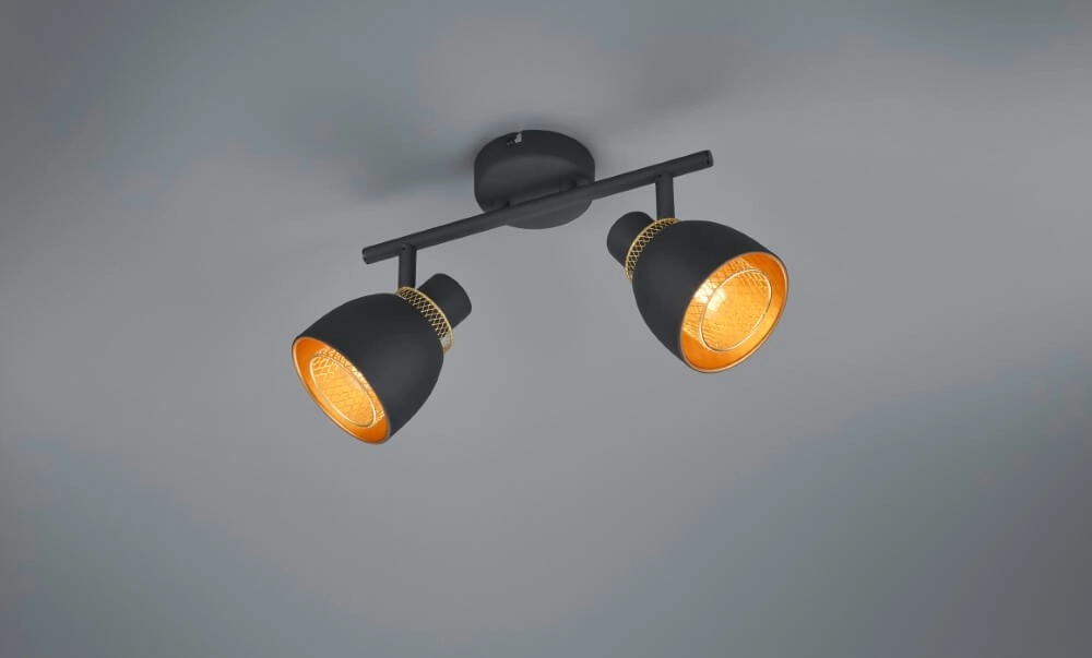 Zwarte plafondlamp Punch 2-lichts Trio 4017807567380